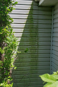 Dry Ice Blasting Home 3